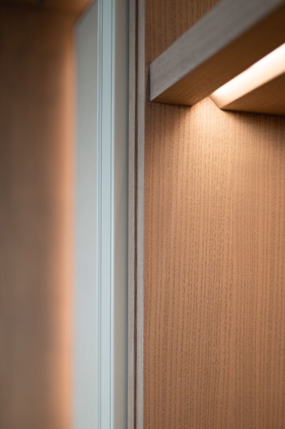 Library & Display Cabinets